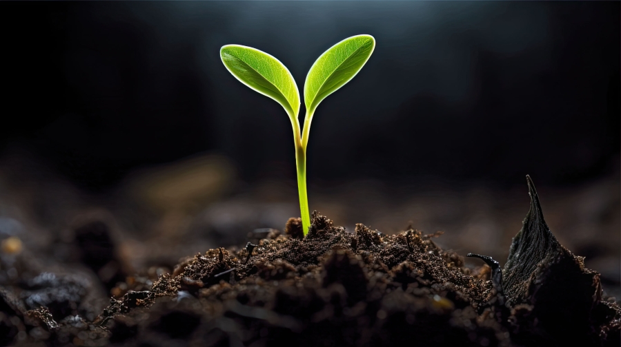 Welcome to LessonSeed: Your Personalized Lesson Planning Assistant